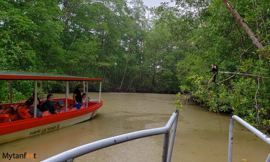 Damas-Island-Mangrove-Forest-tour.jpg