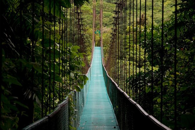 Hanging-bridges-tour-1.jpg