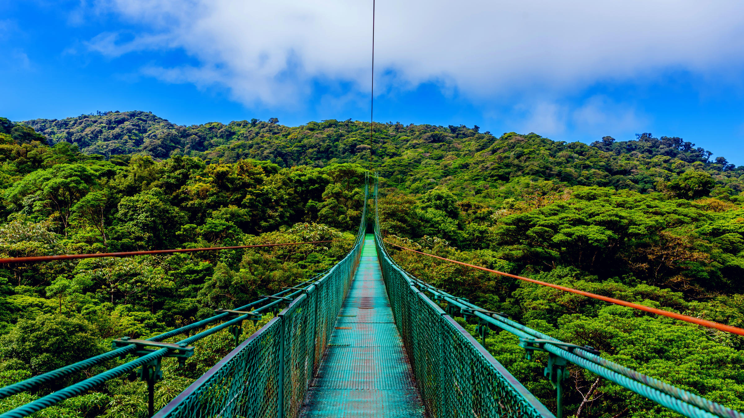 Hanging-bridges-walking-tour.jpg